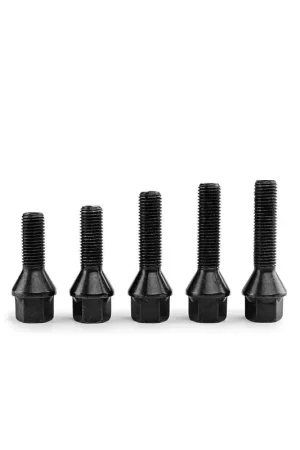 Apex 17mm 60 Degree Cone Seat Lug Bolts Weekend Sale