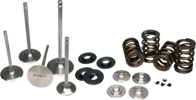 Ferrea Subaru WRX STI Turbo Dual Spring Kit - KT4019 While Supplies Last